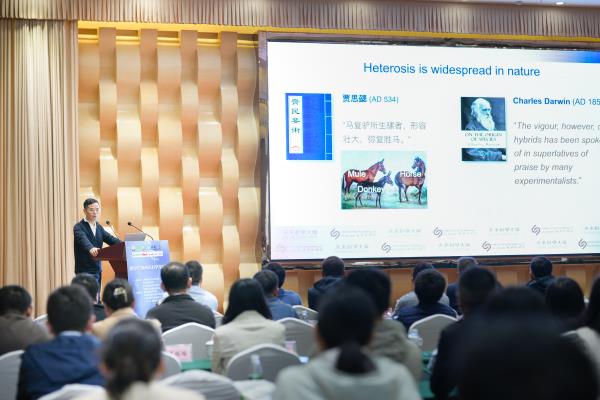 薯類作物青年科學家論壇在云南召開